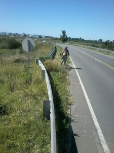 Desmalezado ruta Nº91 - Acceso a autopista