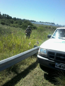 Desmalezado ruta Nº91 - Acceso a autopista