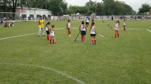 Elementos para hockey - 2