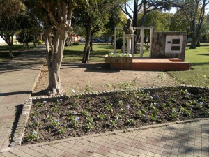 Embelleciendo la plaza (3)