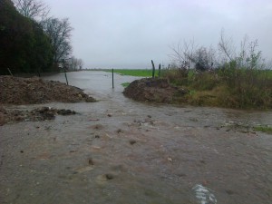 Inundación 08-15 (5)