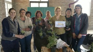 Jornada de plantas aromáticas (2)