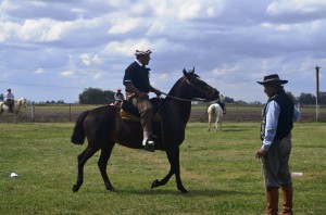 Destreza y desfile (35)