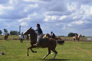 Destreza y desfile (37)