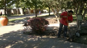 Plaza, canteros esquina (2)