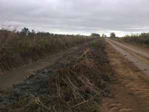 Limpieza de cunetas (3)