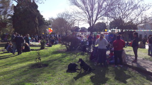 Dia del niño 2016 (63)