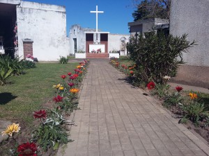 reposicion-flores-en-el-cementerio-3