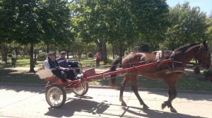 desfile-y-destreza-2016-38