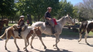 desfile-y-destreza-2016-40