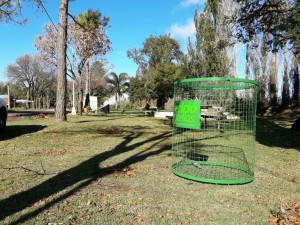 Reciclado de botellas (19)