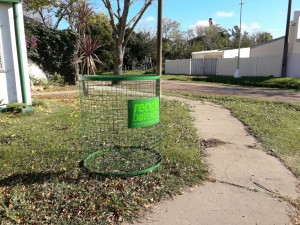 Reciclado de botellas (22)