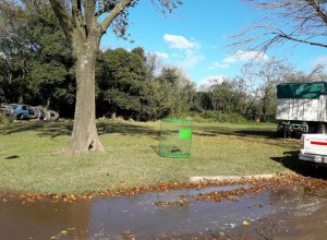 Reciclado de botellas (24)