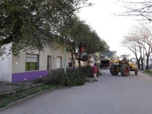 Mantenimiento parques y jardines (10)