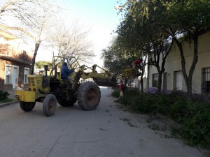 Mantenimiento parques y jardines (9)