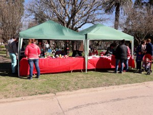 Dia de niño 2017 (22)