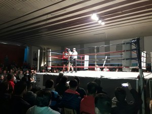 Festival de box (19)