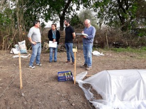 Huerta comunitaria (11)