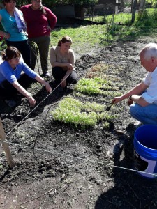 Huerta comunitaria (17)