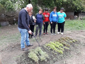 Huerta comunitaria (20)