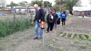 Huerta comunitaria (35)