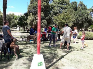 Campaña de vacunación 2017 (17)