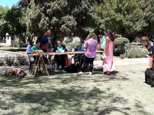 Campaña de vacunación 2017 (20)
