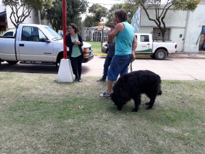 Campaña de vacunación 2017 (22)
