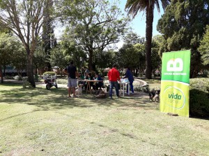Campaña de vacunación 2017 (26)