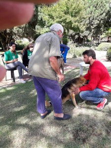 Campaña de vacunación 2017 (28)