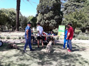 Campaña de vacunación 2017 (31)