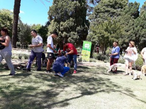 Campaña de vacunación 2017 (33)