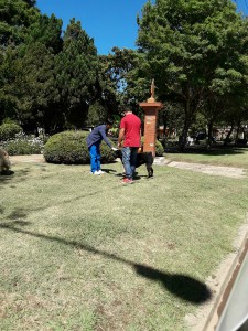 Campaña de vacunación 2017 (36)