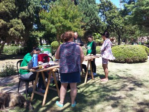 Campaña de vacunación 2017 (43)
