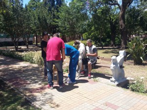 Campaña de vacunación 2017 (55)