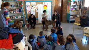 Charla sobre mascotas jardín (3)