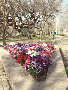 La plaza hoy (20)