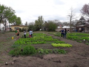 Taller de compostaje (12)