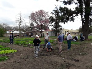 Taller de compostaje (13)