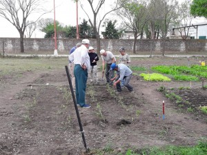 Taller de compostaje (14)