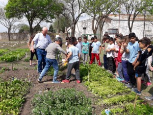 Taller de compostaje (2)