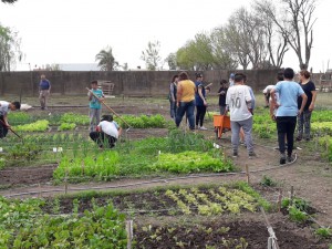 Taller de compostaje (21)