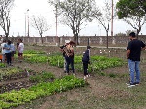 Taller de compostaje (23)