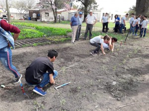 Taller de compostaje (37)