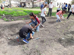 Taller de compostaje (38)