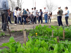 Taller de compostaje (40)