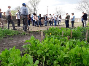 Taller de compostaje (41)