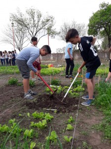 Taller de compostaje (48)