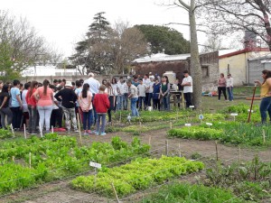 Taller de compostaje (5)