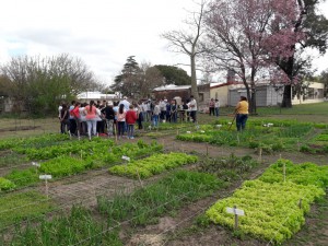 Taller de compostaje (6)